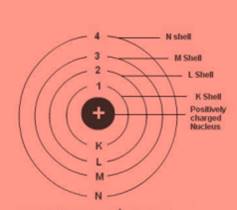 ncert science class 9 chapter 4