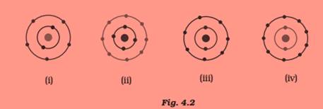 ncert science class 9 chapter 4