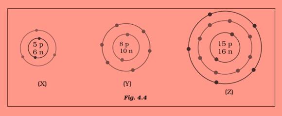 ncert science class 9 chapter 4