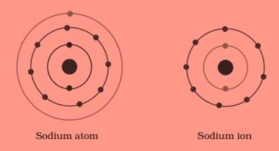 ncert science class 9 chapter 4