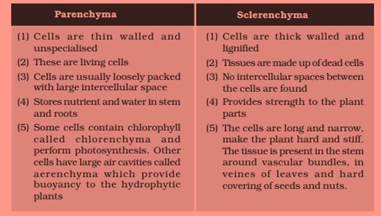 ncert science class 9 chapter 6