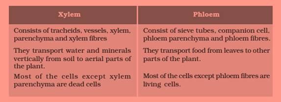 ncert science class 9 chapter 6