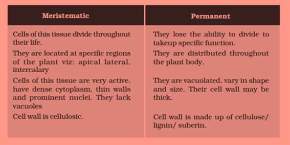 ncert science class 9 chapter 6
