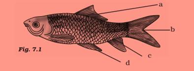 ncert science class 9 chapter 7